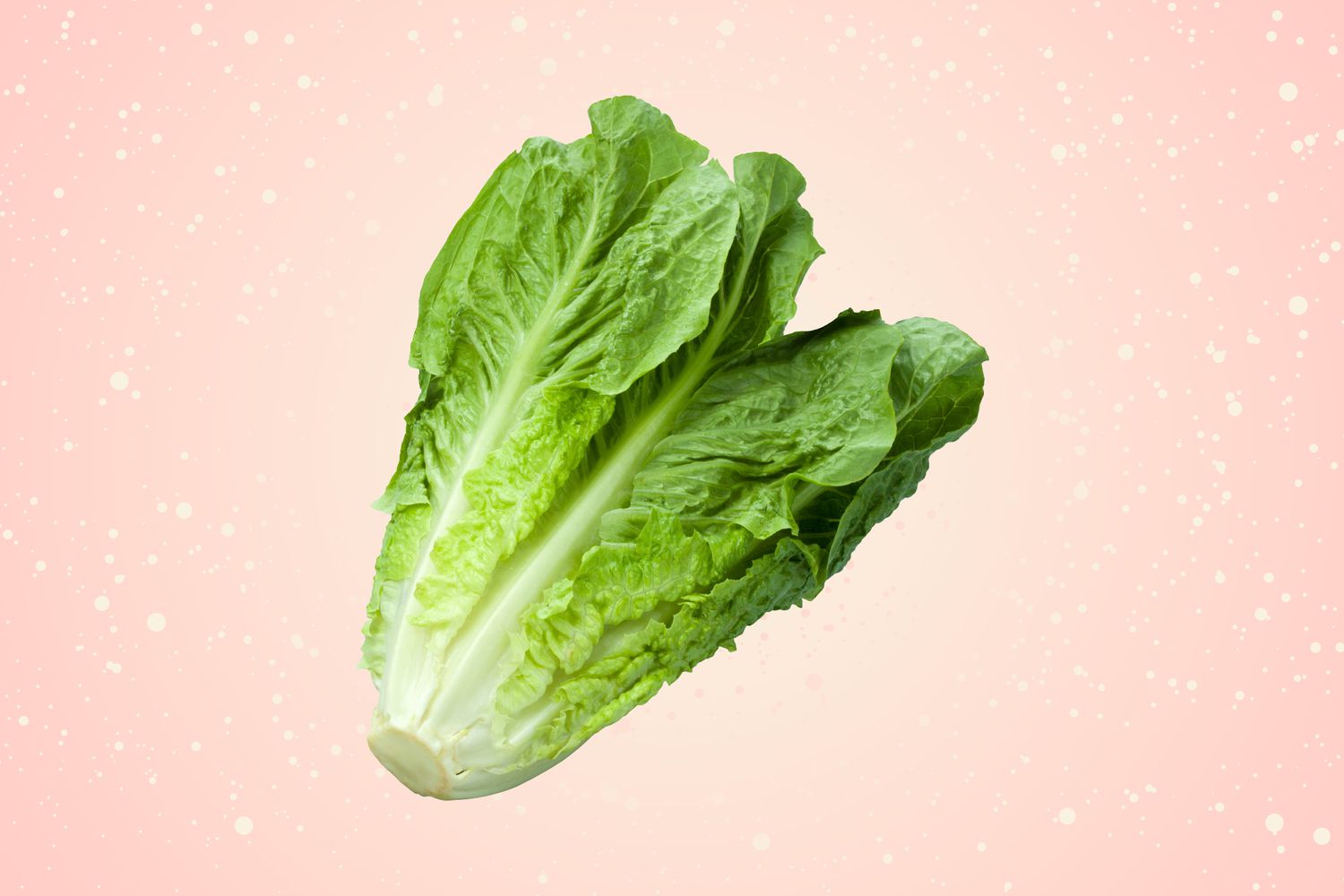 Head of lettuce.